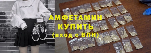 индика Горняк