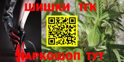 стафф Лесосибирск