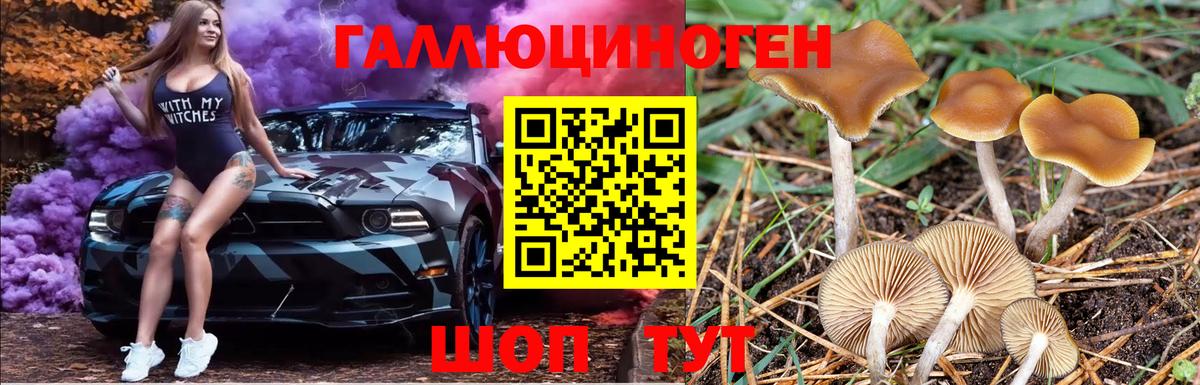 Псилоцибиновые грибы Magic Shrooms  Вход с VPN  Волгодонск 